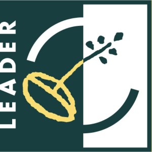 Leader+färg logga