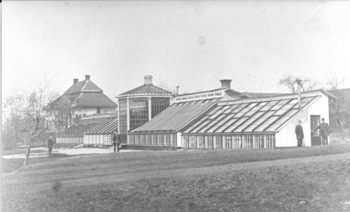 Trädgårdens orangeri_1875